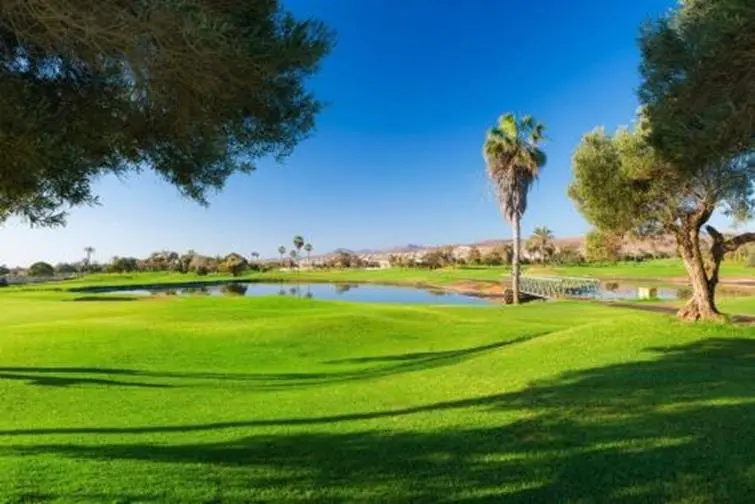 Sheraton Fuerteventura Beach, Golf & Spa Resort gallery image 24