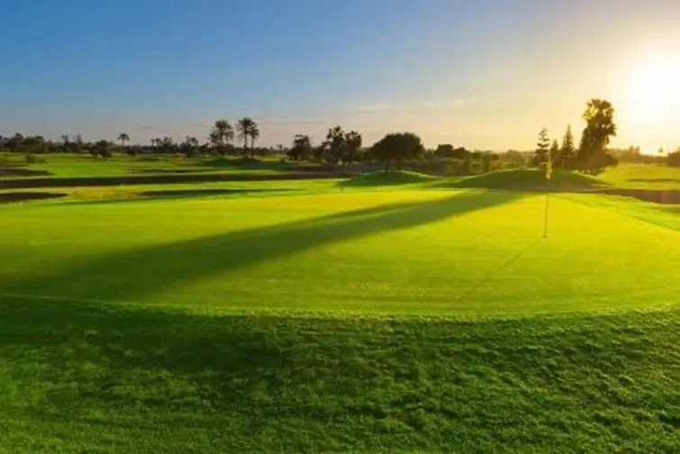 Sheraton Fuerteventura Beach, Golf & Spa Resort gallery image 30