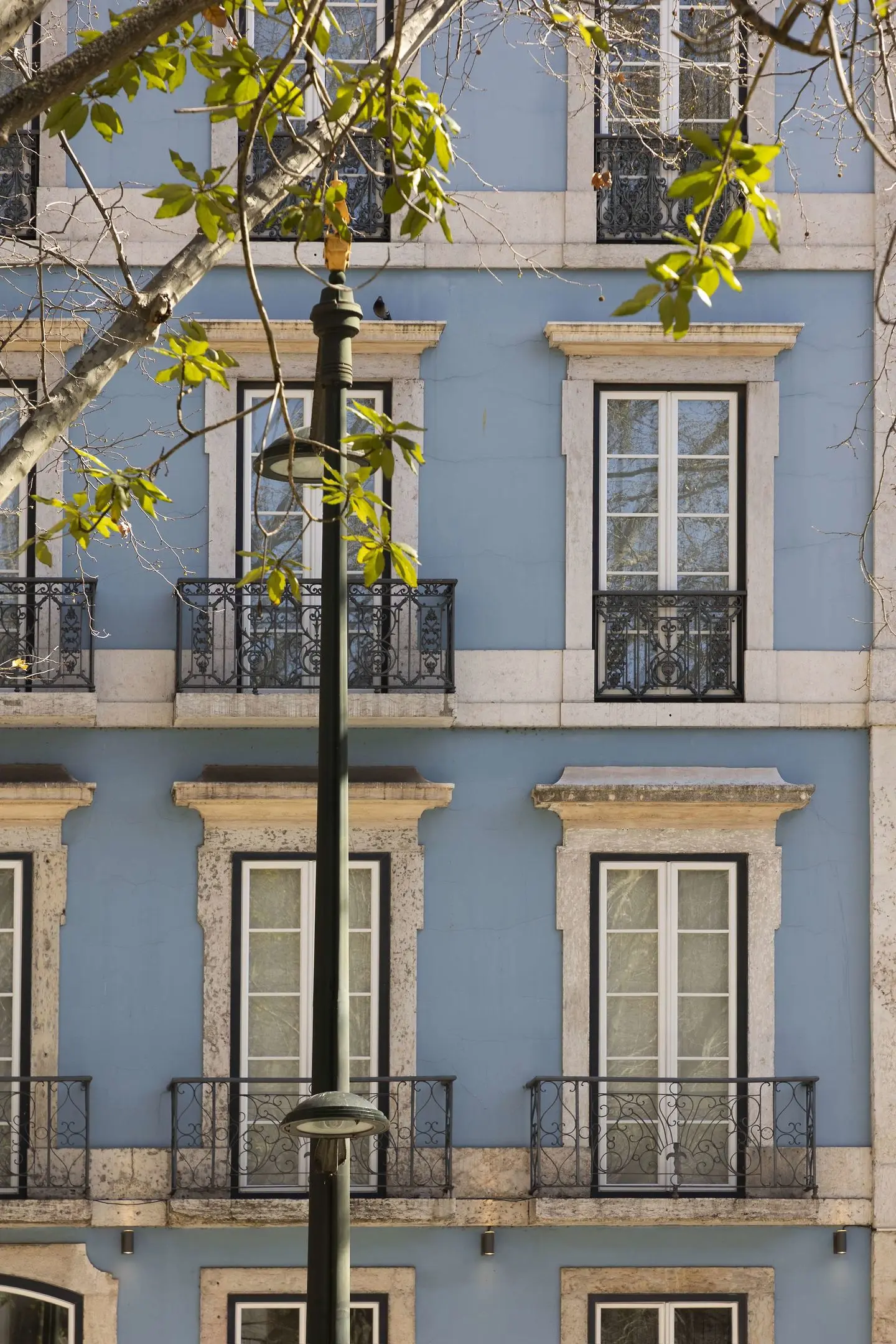 Heritage Avenida Liberdade Hotel gallery image 5