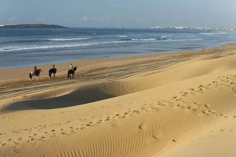 Sofitel Essaouira Mogador Golf & Spa gallery image 2