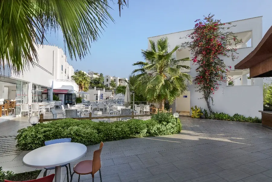 Club Shark Hotel gallery image 2