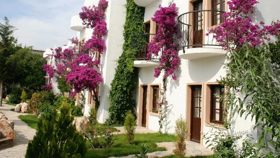 Safir Hotel gallery image 11