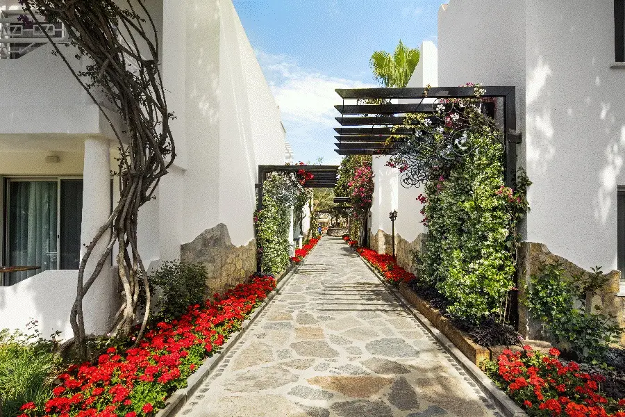 Voyage Torba gallery image 10