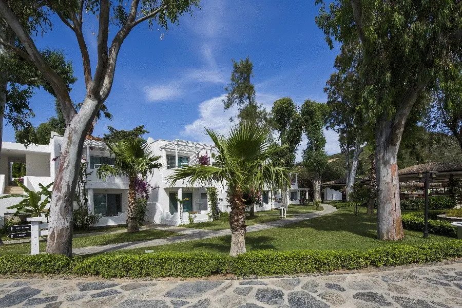 Voyage Torba gallery image 11