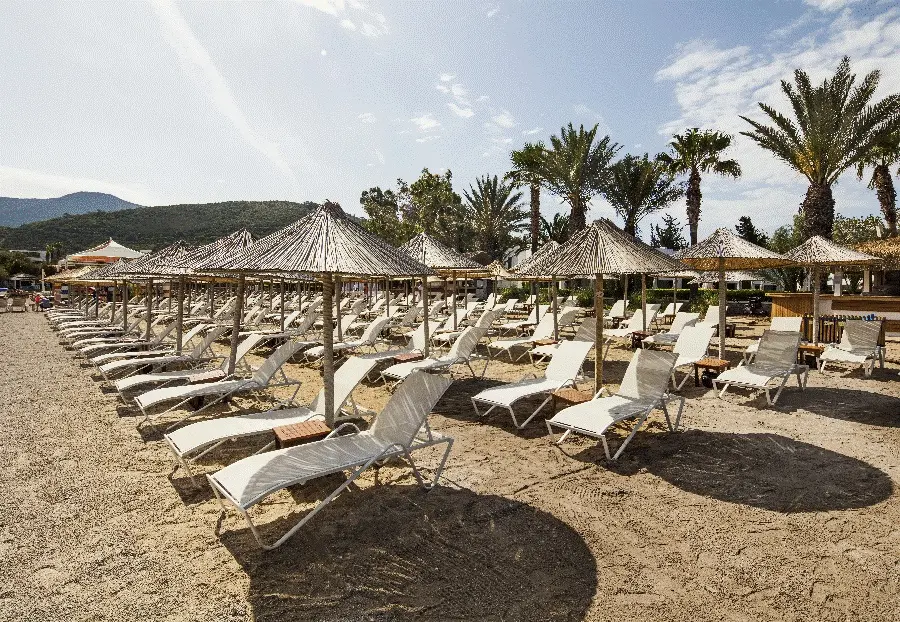 Voyage Torba gallery image 5