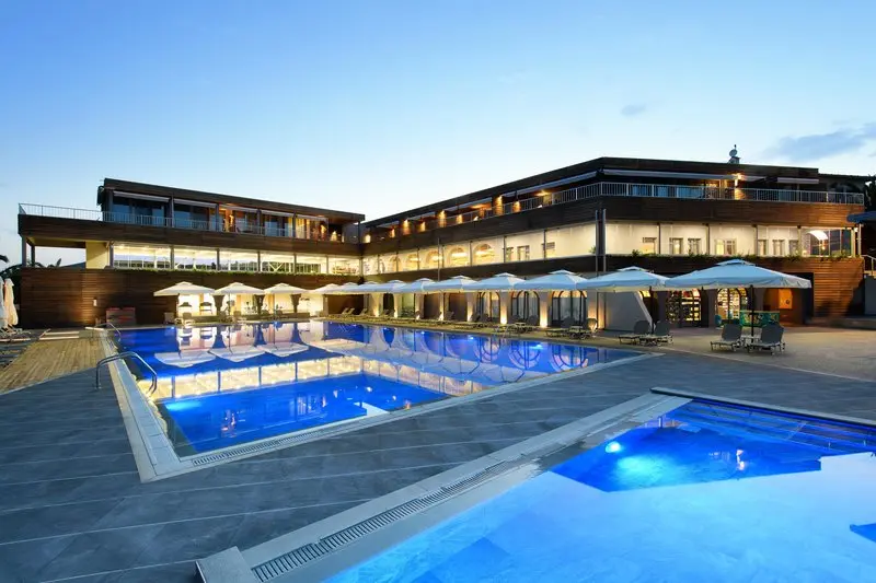 Blue Dolphin
