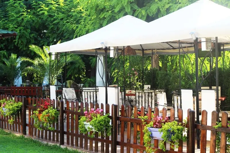 Delfin Hotel gallery image 9
