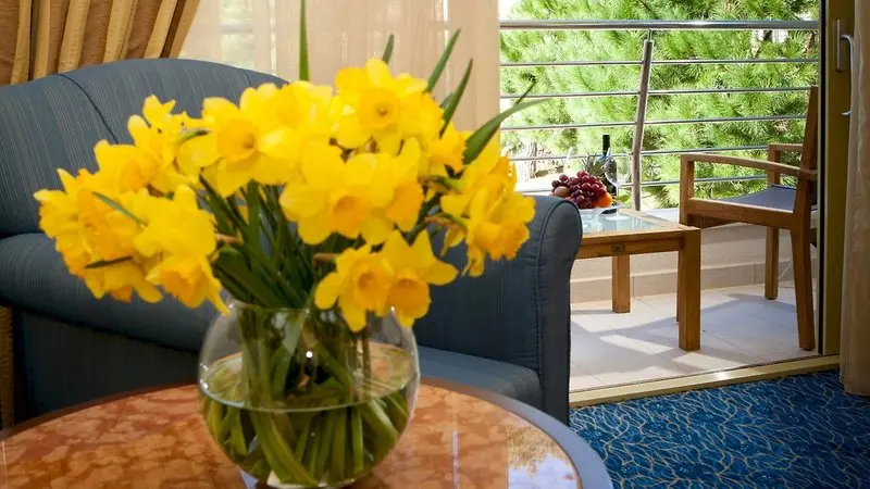 More Hotel gallery image 13