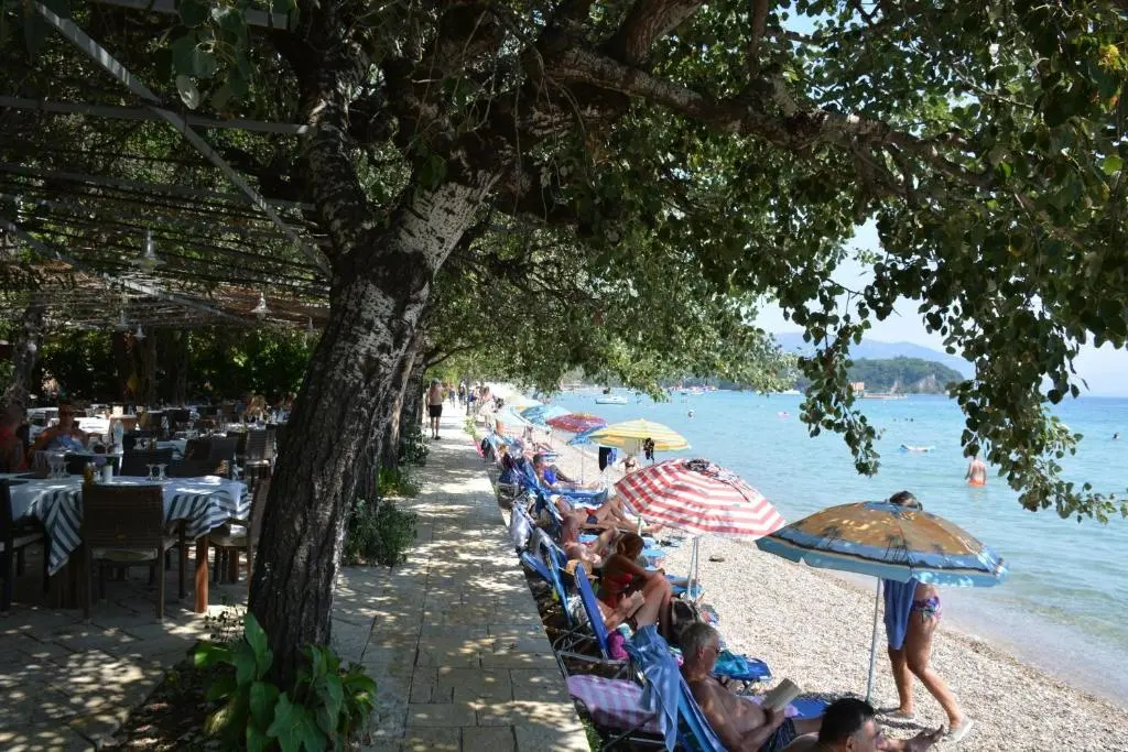 Dassia Beach Hotel gallery image 3