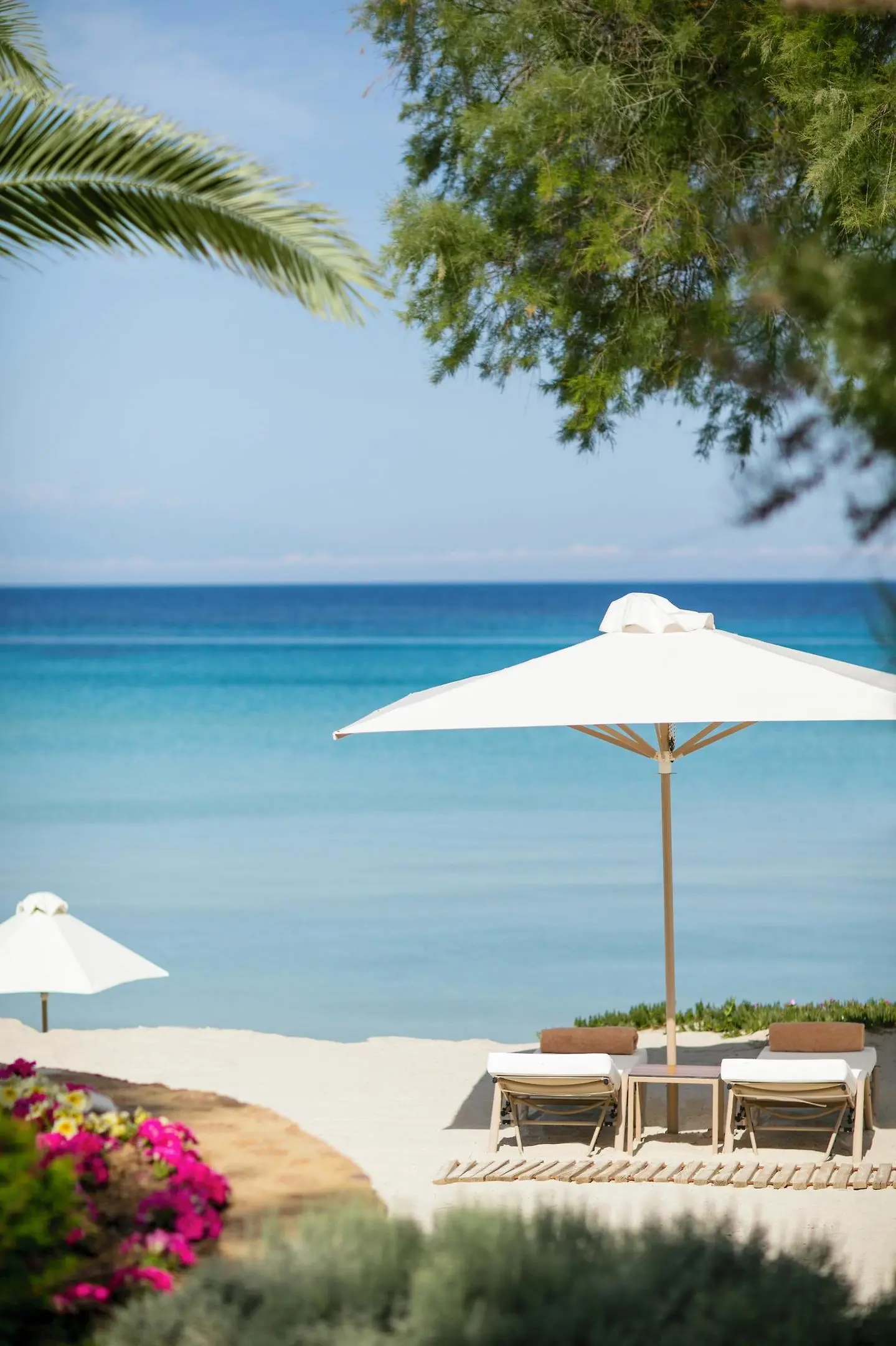 Sani Club gallery image 28