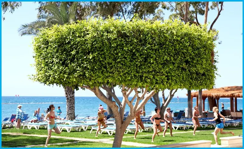 Poseidonia Beach Hotel gallery image 12