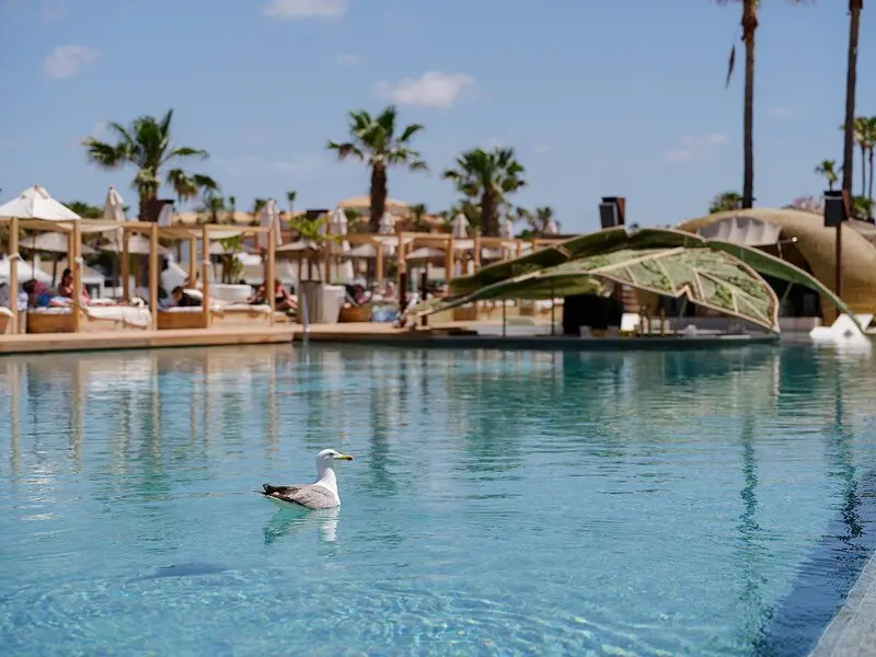 Casas Del Lago Hotel & Beach Club gallery image 23