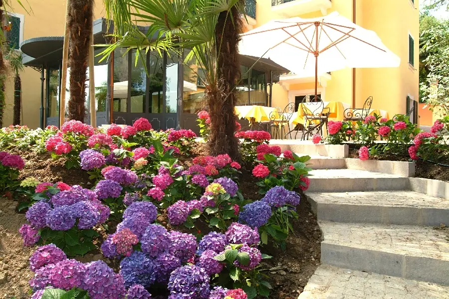 Hotel Villa Sofia gallery image 3