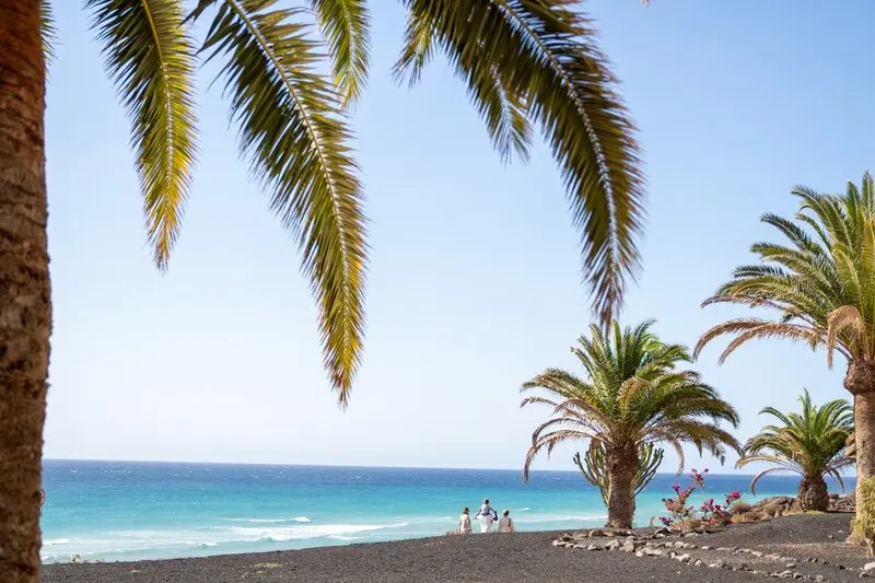Iberostar Playa Gaviotas Park gallery image 20