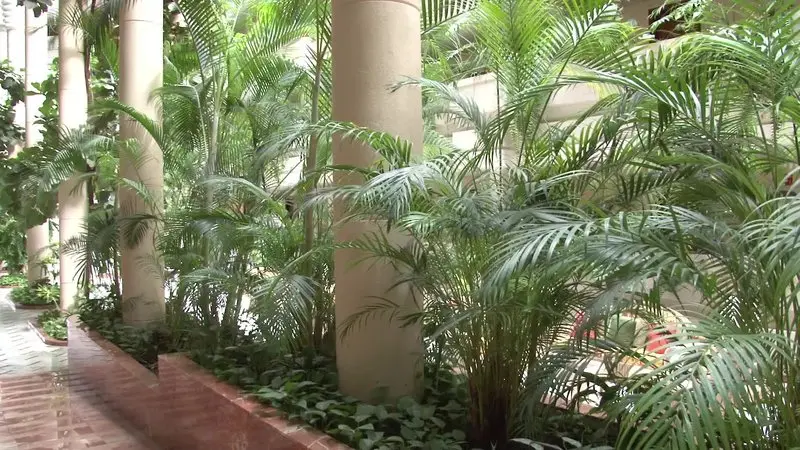 Spring Arona Gran Hotel gallery image 7