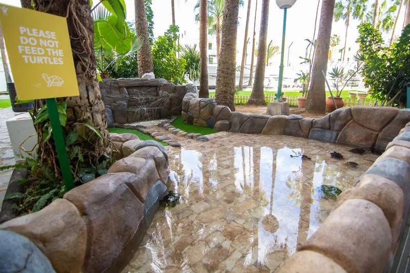 Corona Blanca Apartments gallery image 12