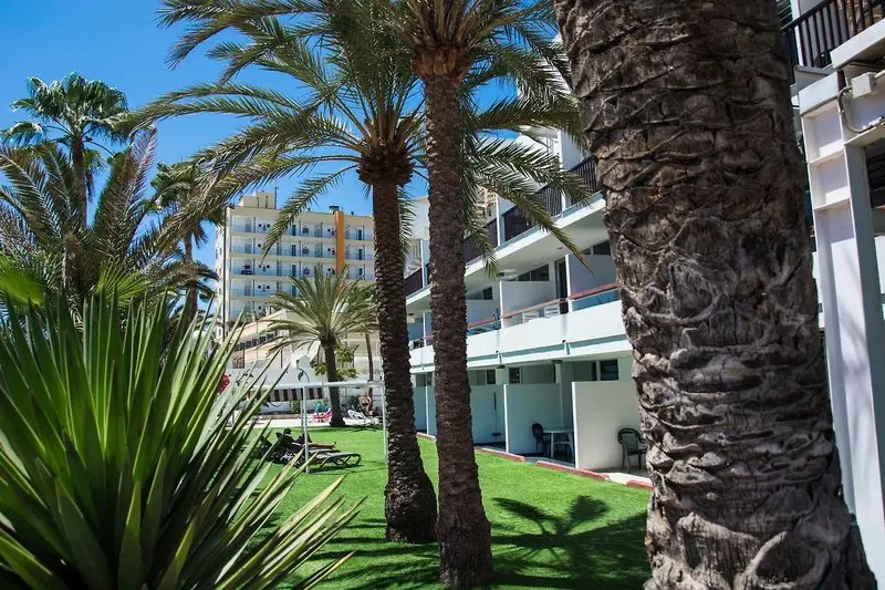 Corona Blanca Apartments gallery image 13