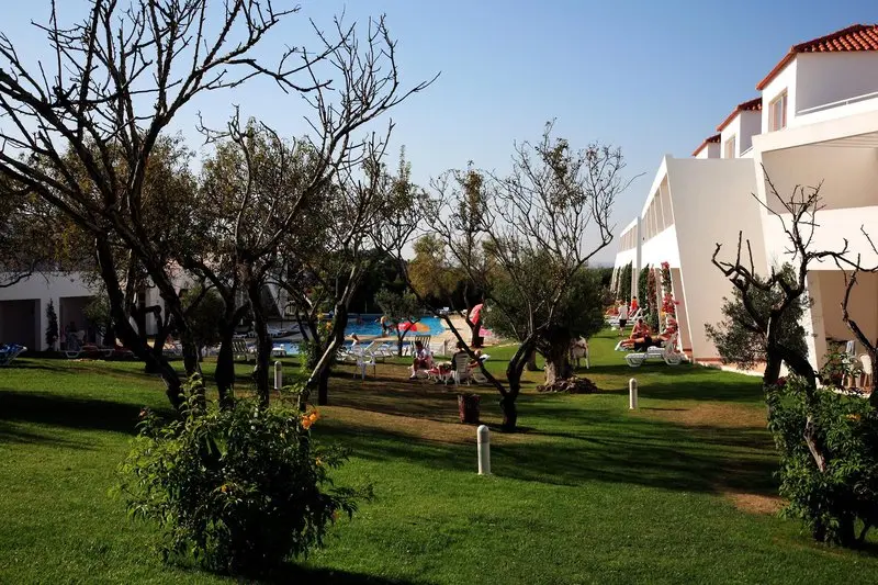 Pateo Village Apartments gallery image 19