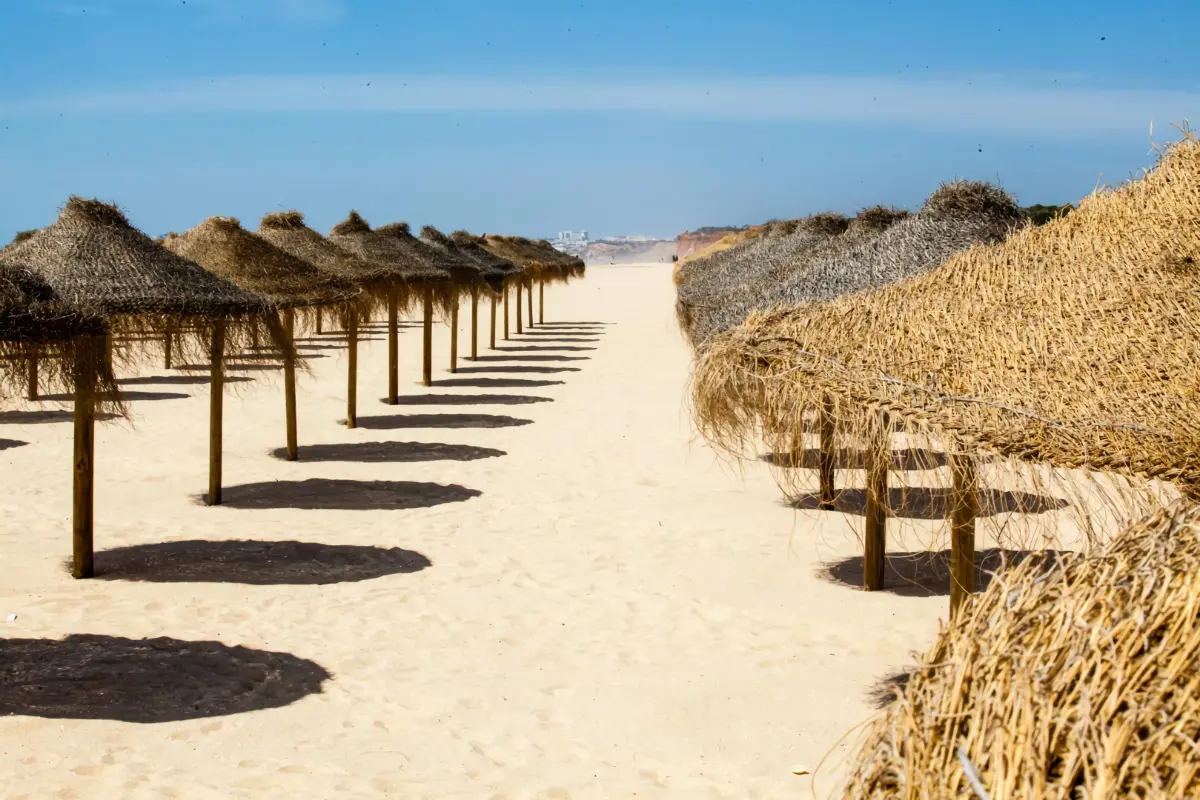 Four Seasons Vilamoura gallery image 10