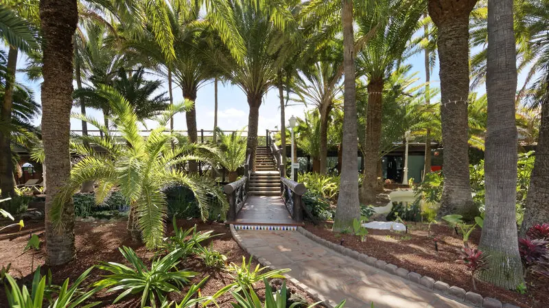 Parque Tropical Hotel gallery image 7