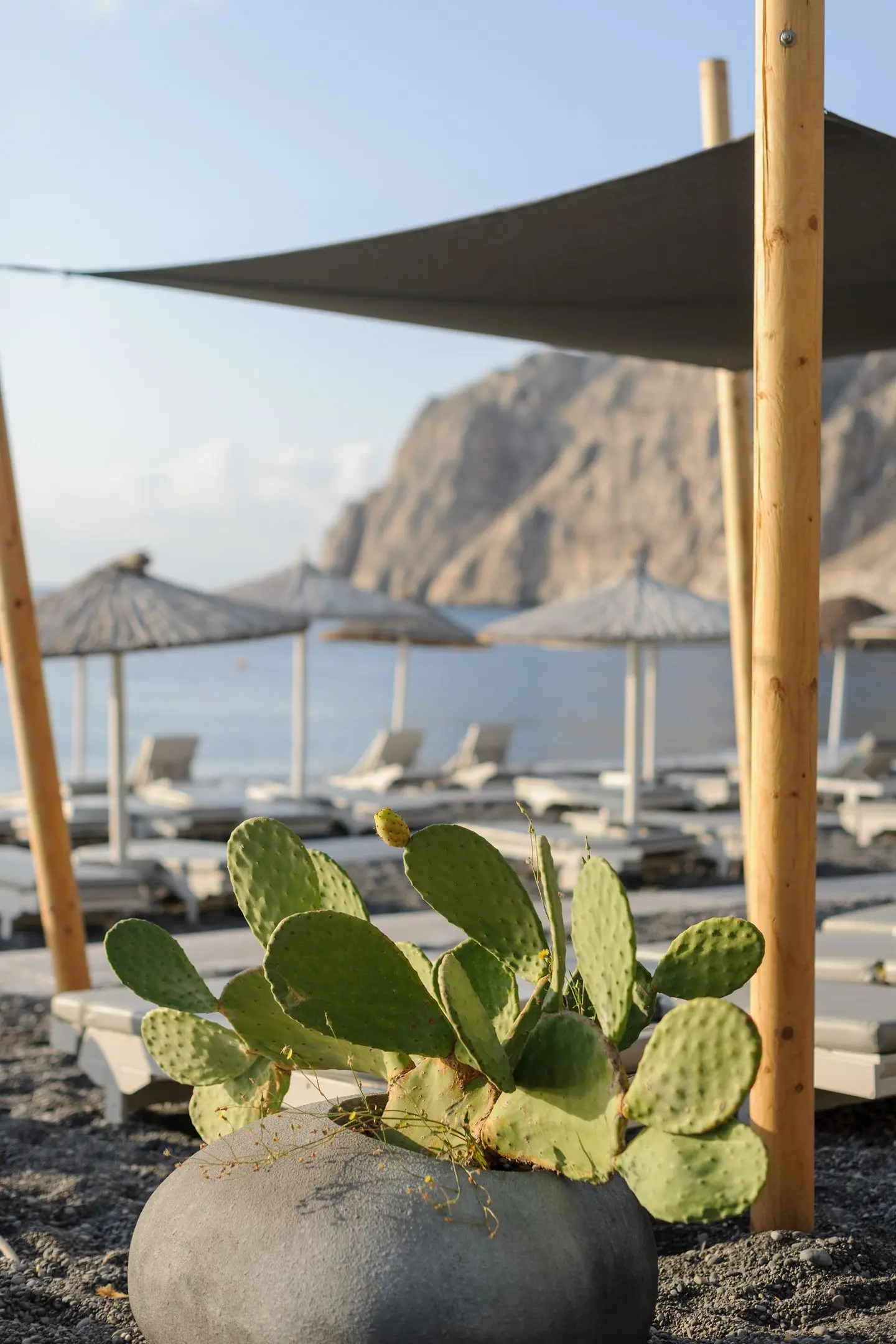 Afroditi Venus Beach Hotel & Spa gallery image 8