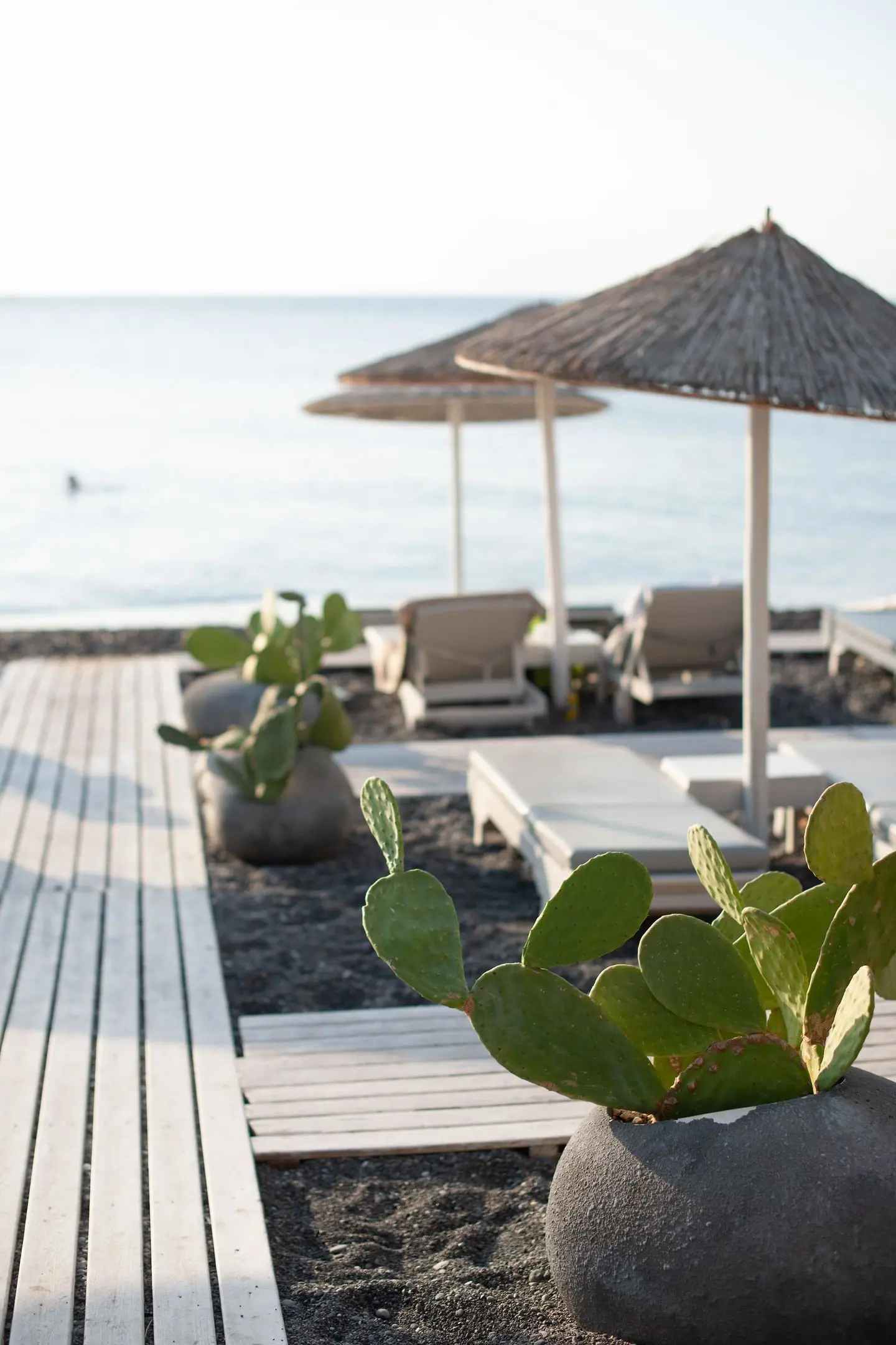 Afroditi Venus Beach Hotel & Spa gallery image 9