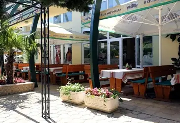 Sunny Day Club
