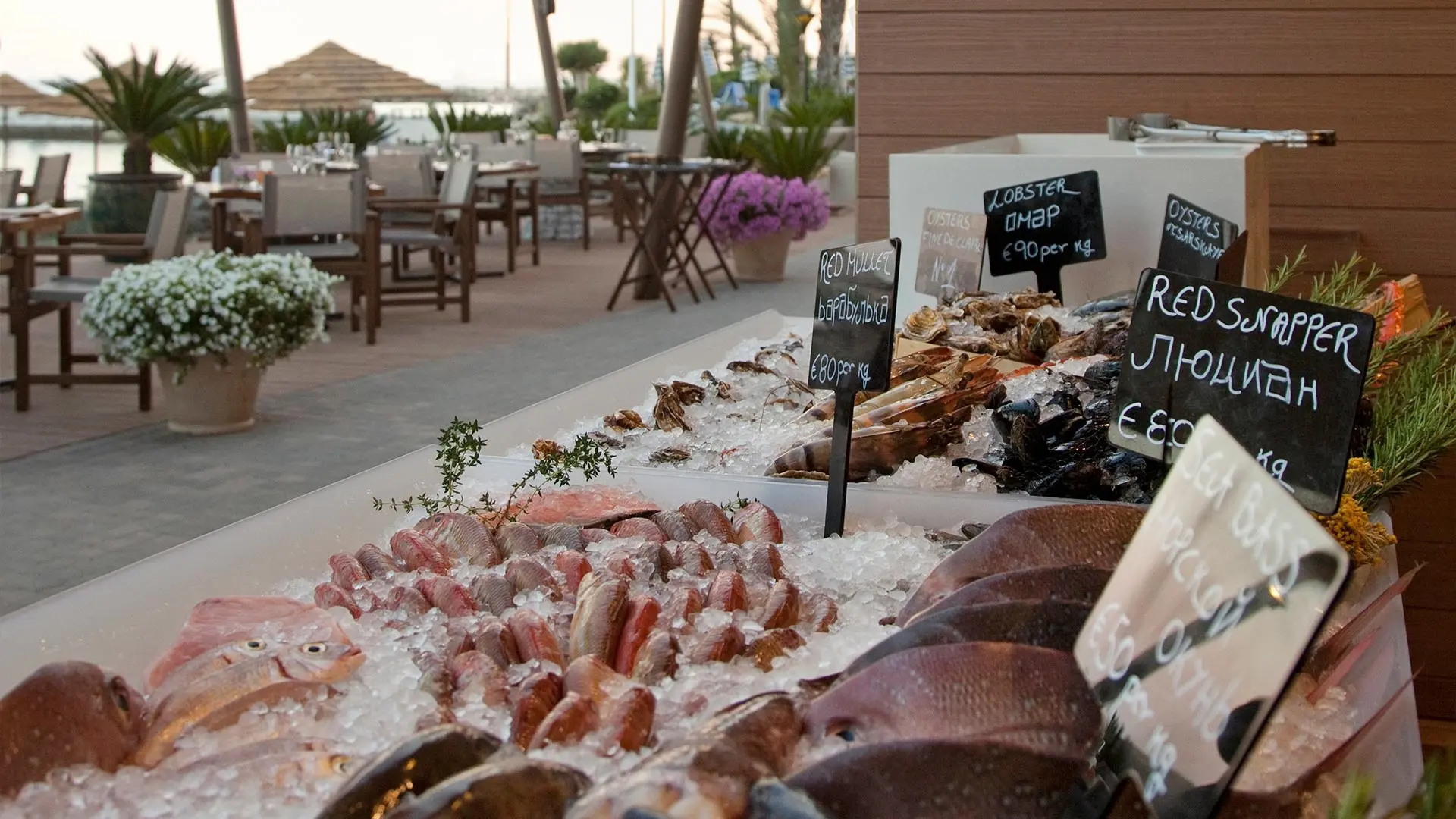 Amathus Beach Hotel gallery image 14