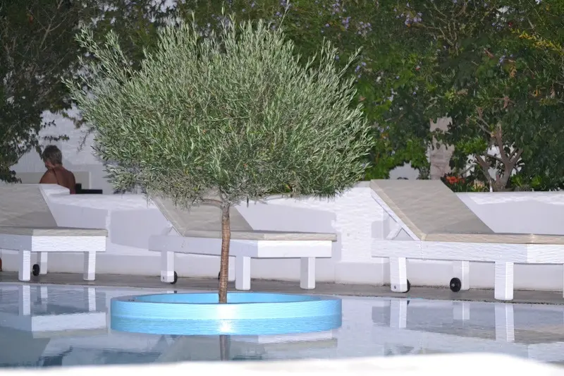 Veggera Hotel gallery image 3