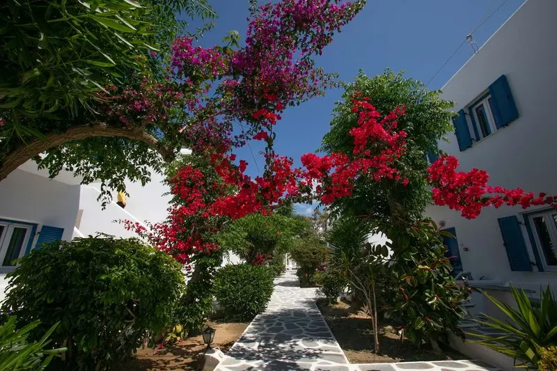 Acrogiali Beach Hotel