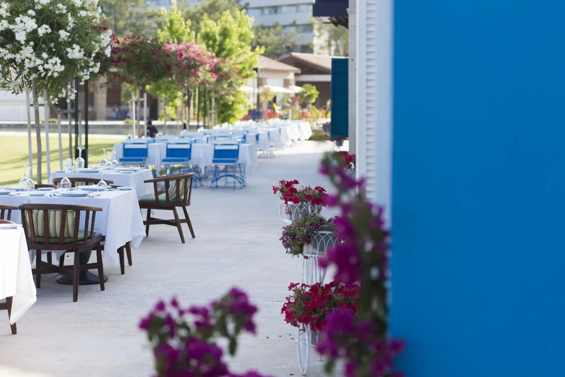 Rixos Premium Tekirova gallery image 7