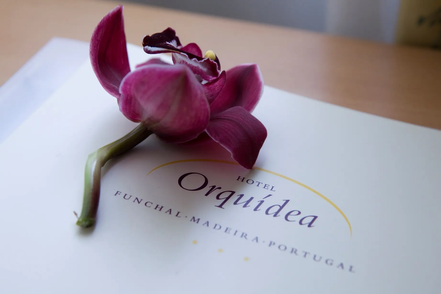 Orquidea Hotel gallery image 7