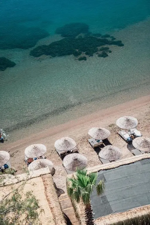 Orka Lotus Beach Hotel gallery image 5