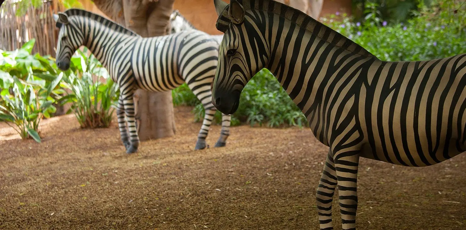 Lopesan Baobab Resort gallery image 6