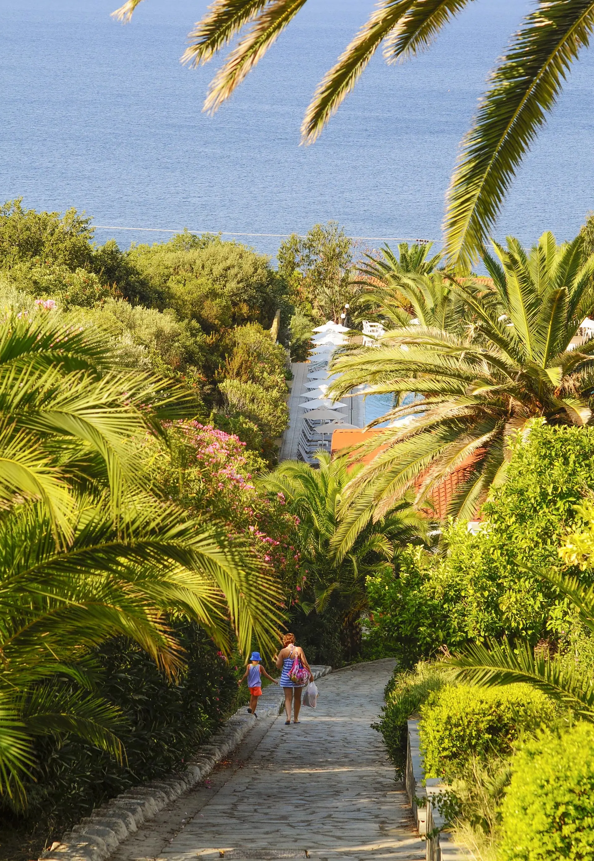 Aristoteles Holiday Resort & Spa gallery image 5