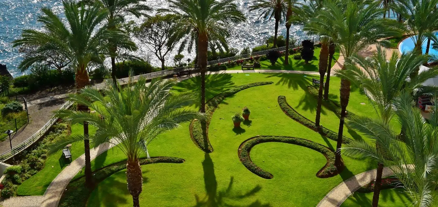 Pestana Grand Premium Ocean Resort gallery image 17