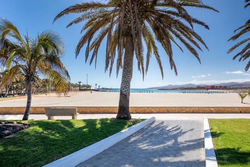Barcelo Fuerteventura Mar gallery image 13