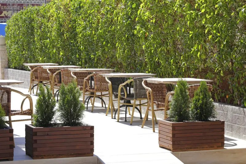 Santa Ponsa Pins Hotel gallery image 17