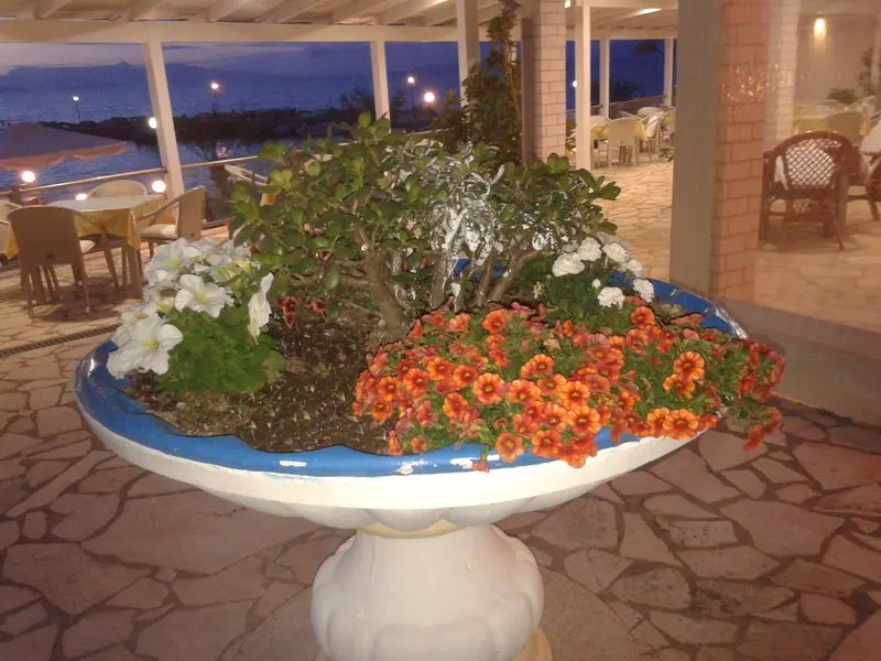 Golden Sunset Hotel gallery image 5