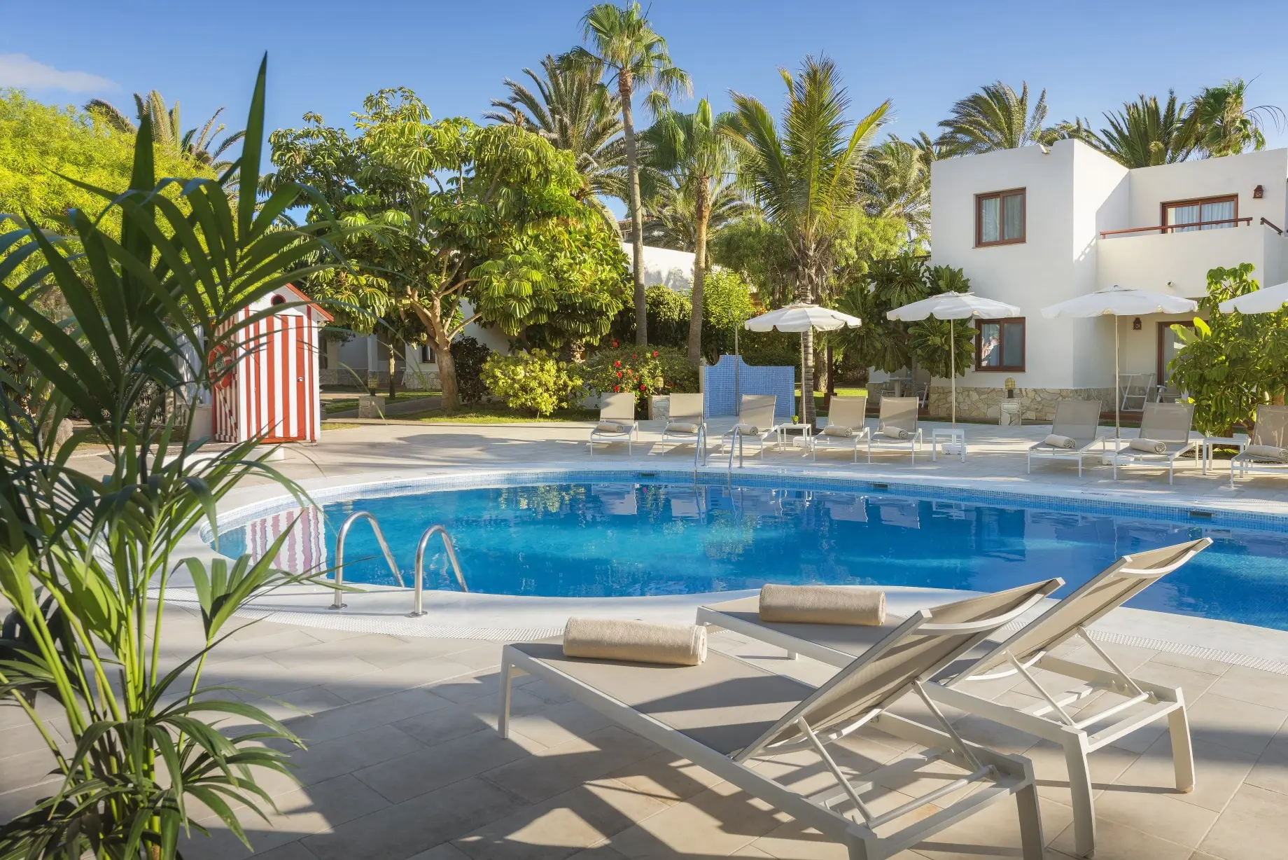 Alua Suites Fuerteventura gallery image 4