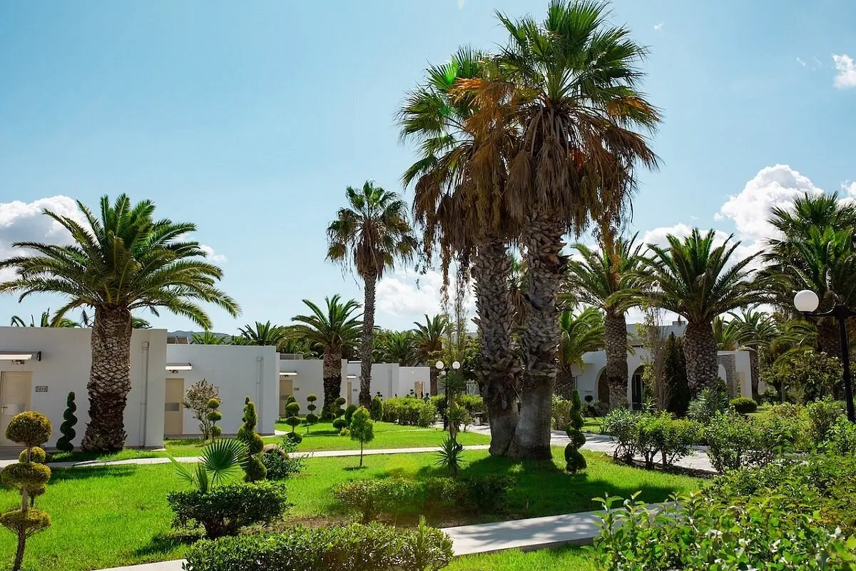 Princess Of Kos gallery image 18