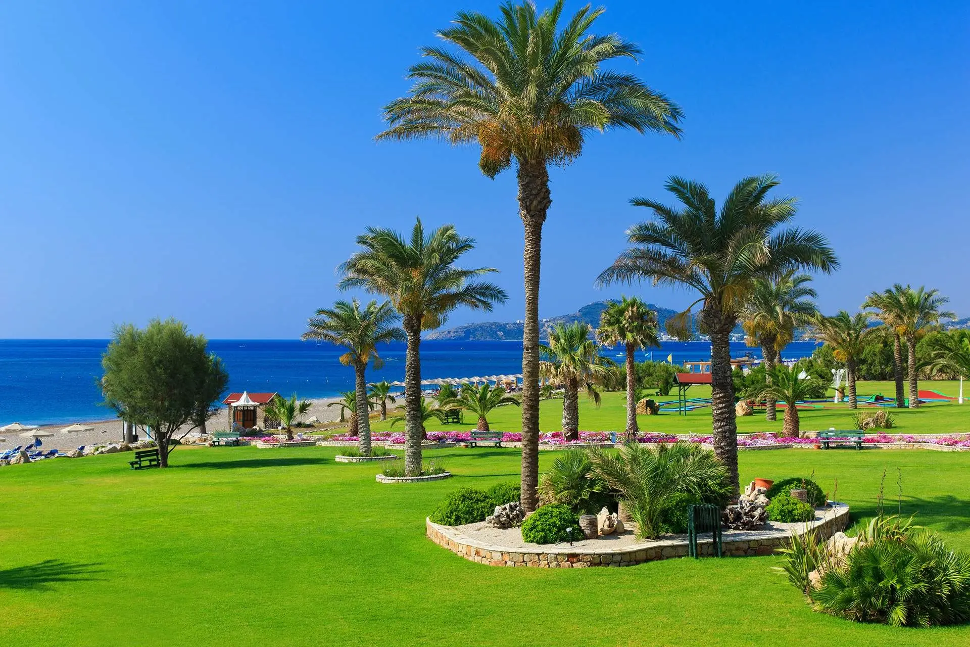 Rodos Palladium gallery image 13