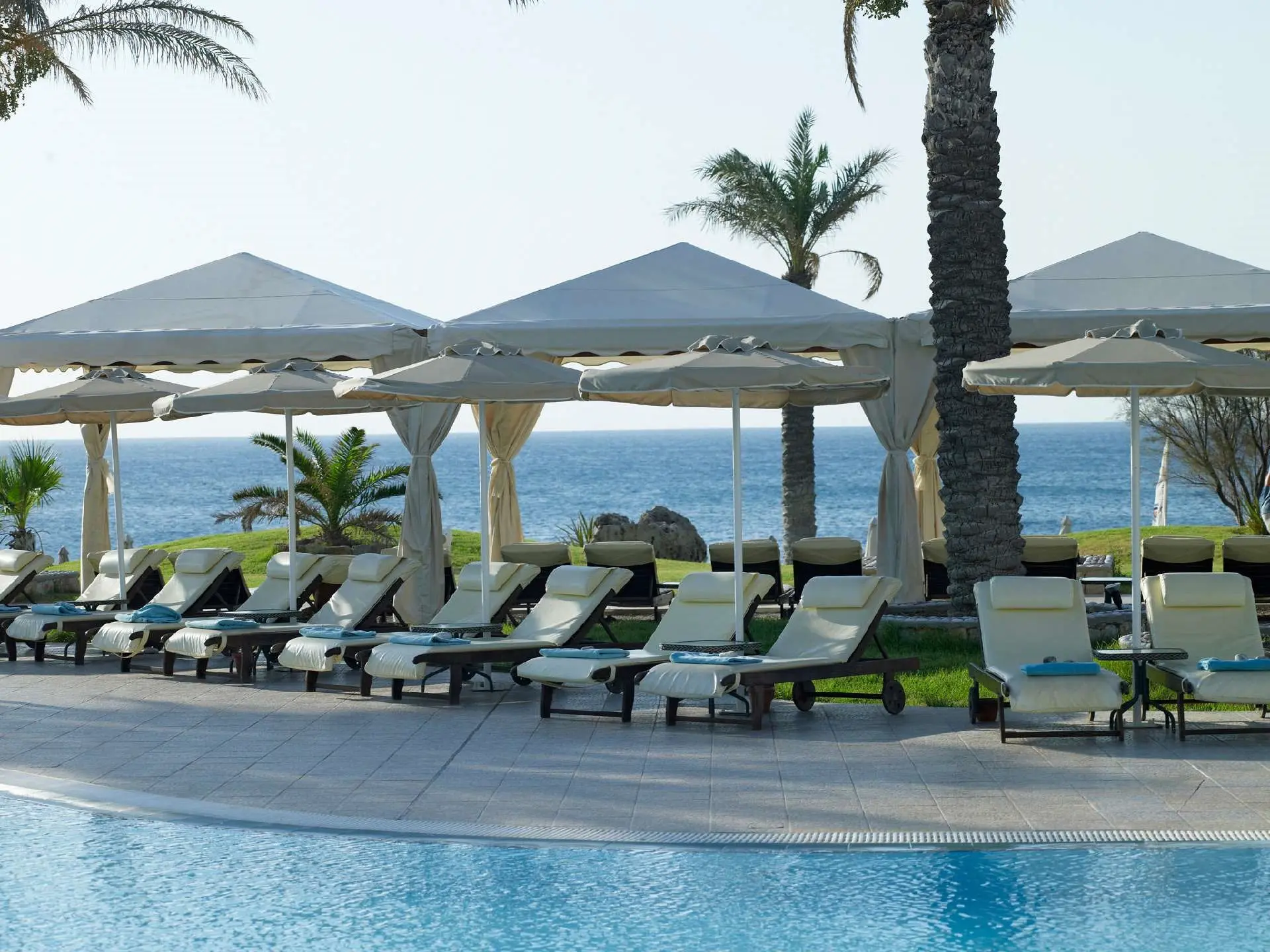 Rodos Palladium gallery image 7