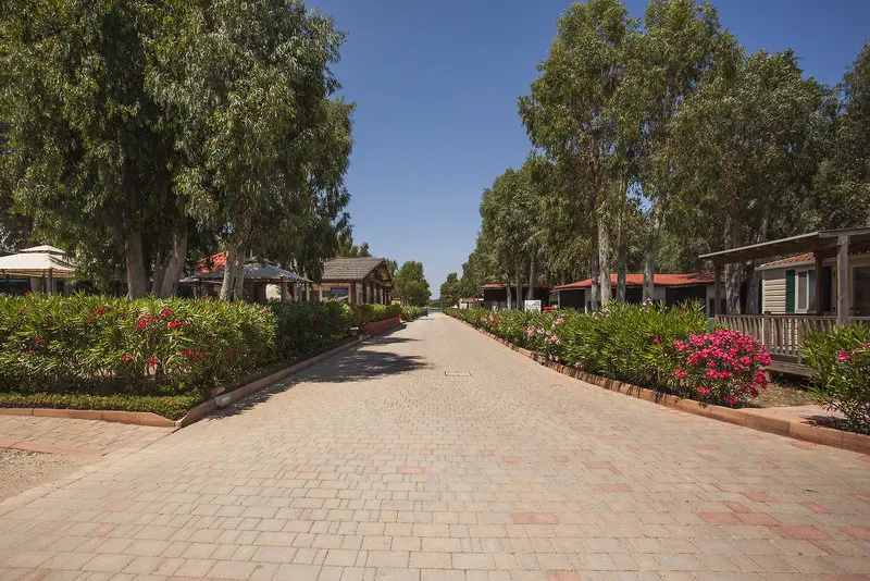 Camping Village Laguna Blu gallery image 7