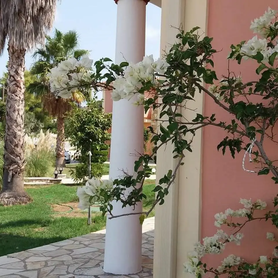 Elanthi Village gallery image 12