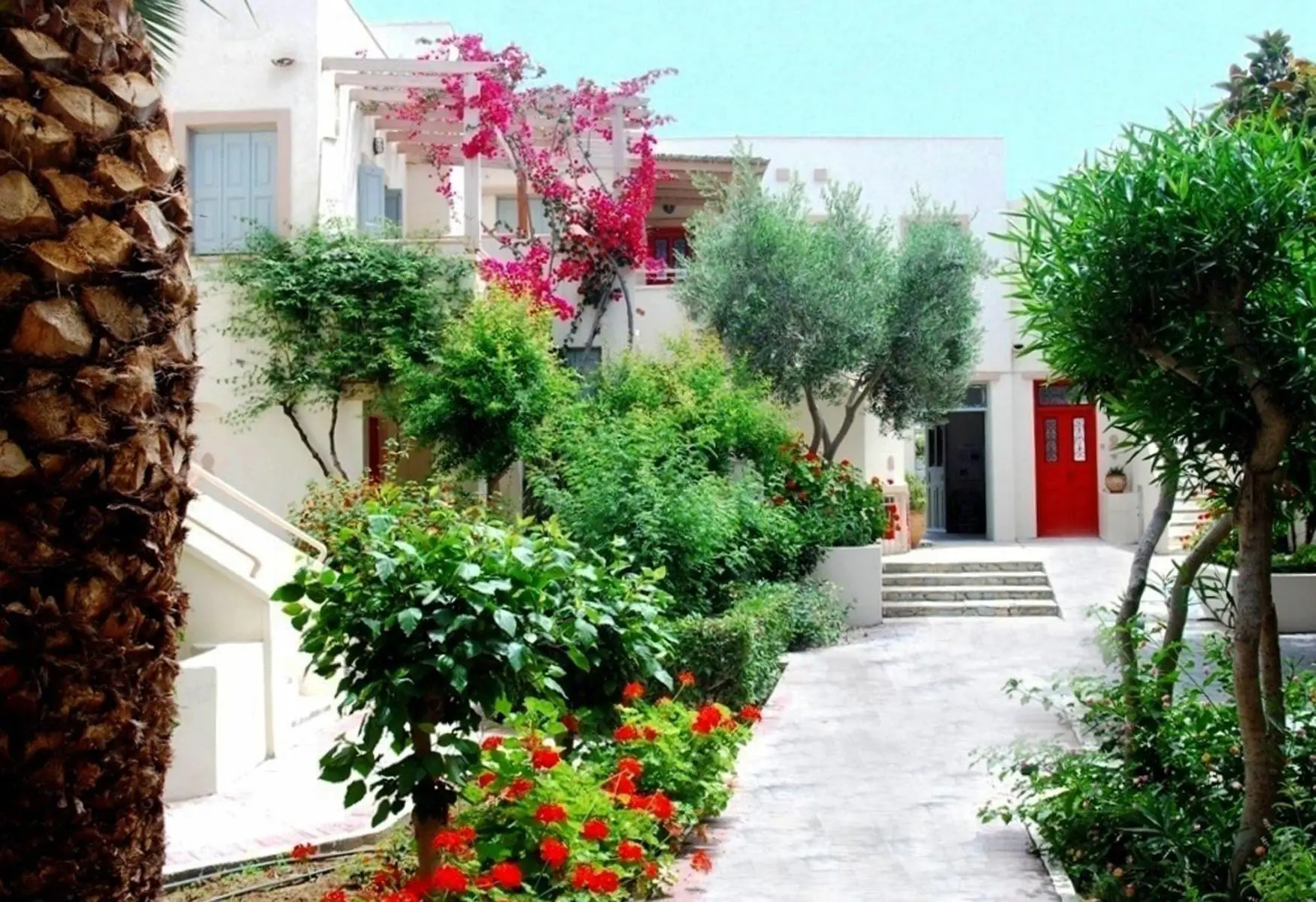 Nissia Kamares gallery image 23