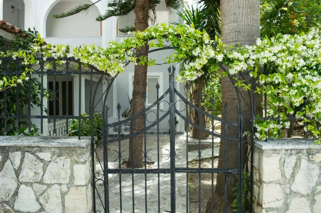 Paradise Beach Hotel gallery image 2
