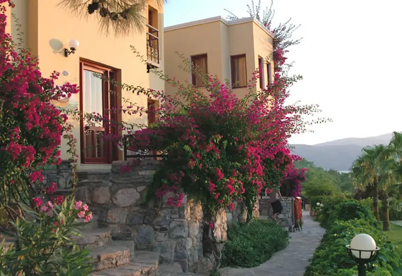 Blue Dreams Resort & Spa gallery image 5