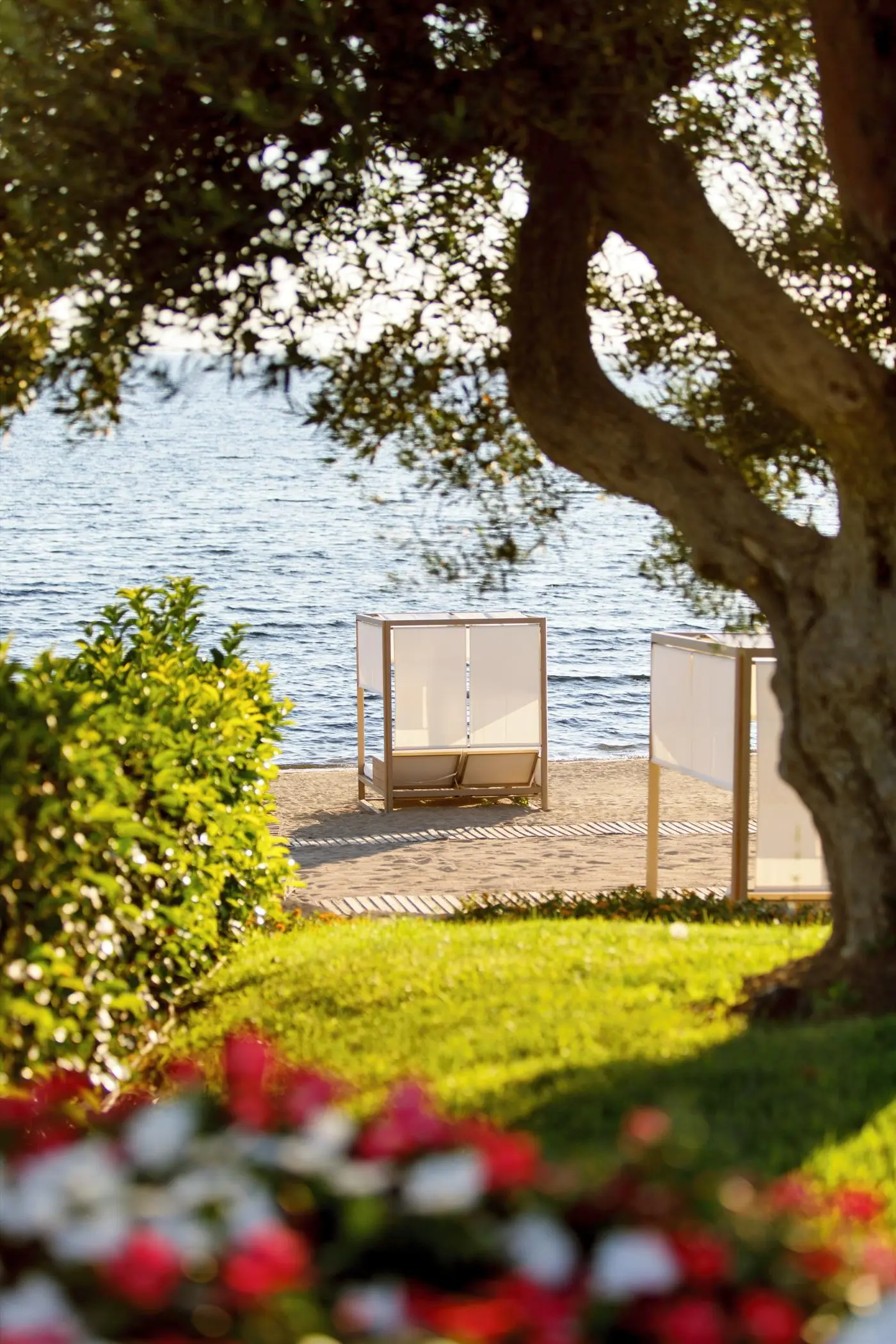 Ikos Olivia gallery image 18