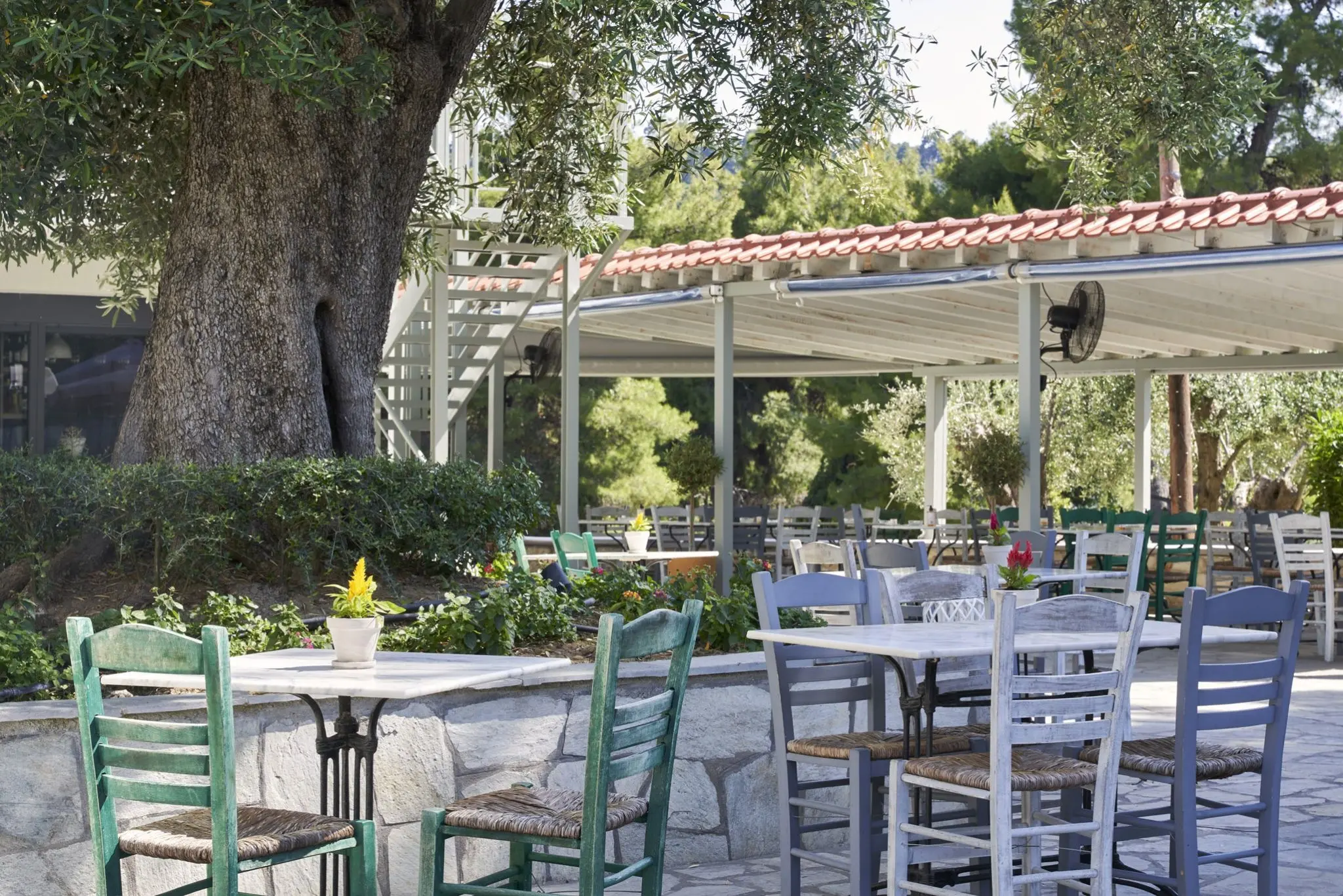 Mirabilia Boutique Hotel gallery image 14